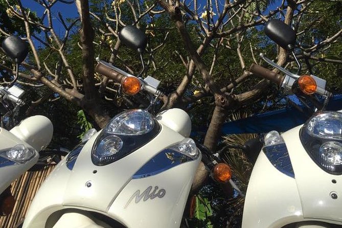 Single Passenger Moped/Scooter - 18+ NO Motorcycle License Needed - Starting in Lahaina: where you’ll get your moped and your momentum