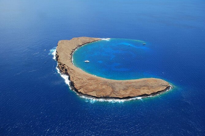 Small Group Coral Gardens Snorkel & Waterslide Adventure - Setting Off from Wailuku: What the 12:30 PM Start Really Means