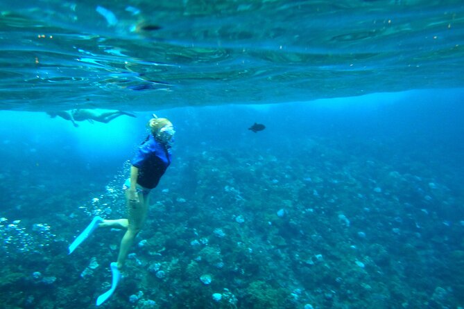Small Group Coral Gardens Snorkel & Waterslide Adventure - Lunch, Soda, Gear, and Sunscreen: The Value You Feel Mid-Trip