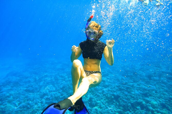 Small Group Coral Gardens Snorkel & Waterslide Adventure - Boat Size and Timing: Why “Small Group” Feels Different