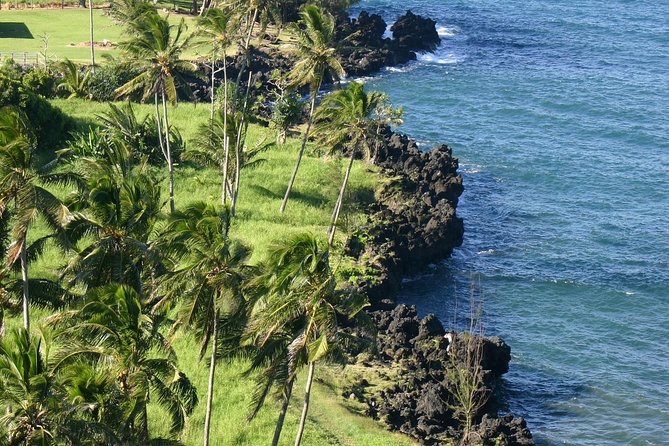 Small-Group Luxury Tour: Road to Hana and Ka'eleku Cavern Day Trip - The luxury limo-van: comfort that matters on Hana Highway
