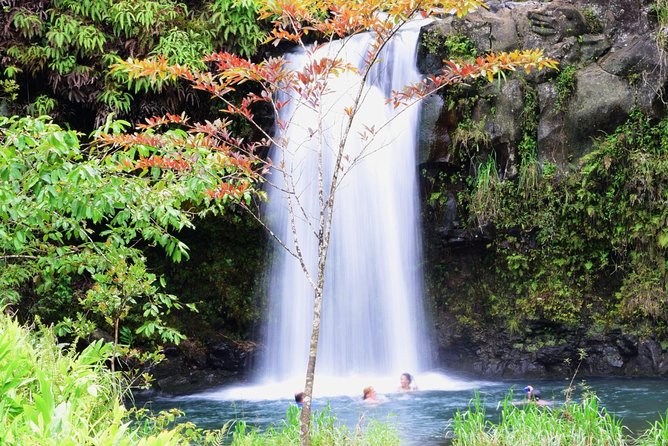 Small-Group Luxury Tour: Road to Hana and Ka'eleku Cavern Day Trip - Ke’anae Point and the Hana-side vibe you came for