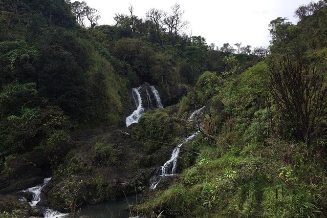 Small-Group Road to Hana Adventure Tour with Pickup & Lunch - Why This Road to Hāna Tour Works Better Than Driving Yourself