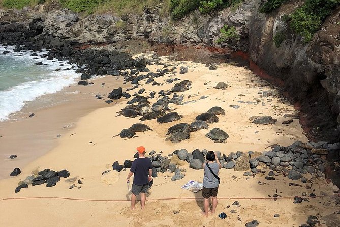 Small-Group Road to Hana Adventure Tour with Pickup & Lunch - Road to Hāna Pickup, Van Comfort, and What’s Included From the Start