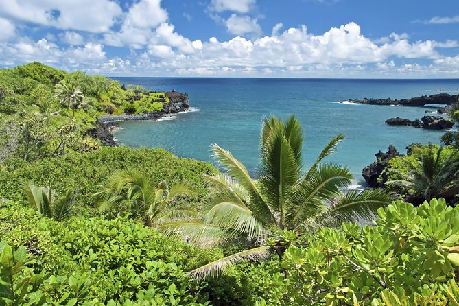 Small-Group Road to Hana Adventure Tour with Pickup & Lunch - Ho‘okipa Beach Park and Ke‘anae Point Fishermen Vibe