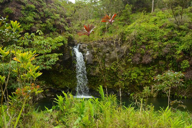 Small-Group Road to Hana Luxury Tour - Stop 4: Wai’anapanapa State Park and the Black Sand Beach Swim