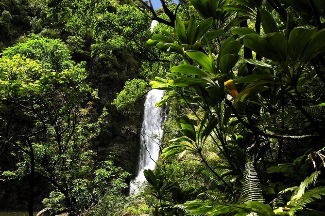 Small-Group Road to Hana Luxury Tour - Food on the Road: Breakfast, Lunch, Picnic Options, and Real Value