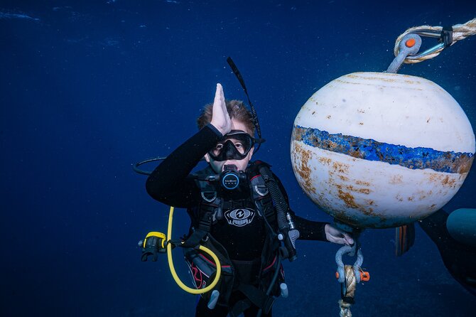 Small-Group Shark and Turtle Dive for Certified Divers - Small groups, real instruction: how it shows in the water