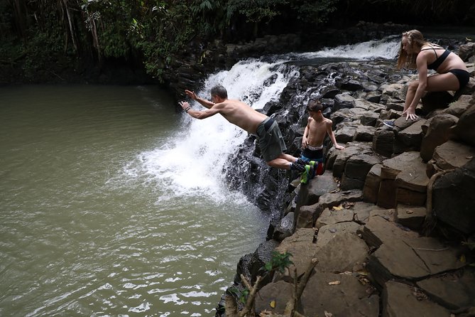 Small Group Waterfall and Rainforest Hiking Adventure on Maui - Waterfalls, Swimming Holes, and the Cliff-Jump Factor