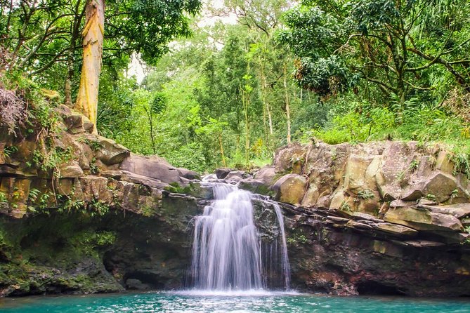 Small Group Waterfall and Rainforest Hiking Adventure on Maui - Small-Group Size: Why It Feels Personal Without Feeling Crowded