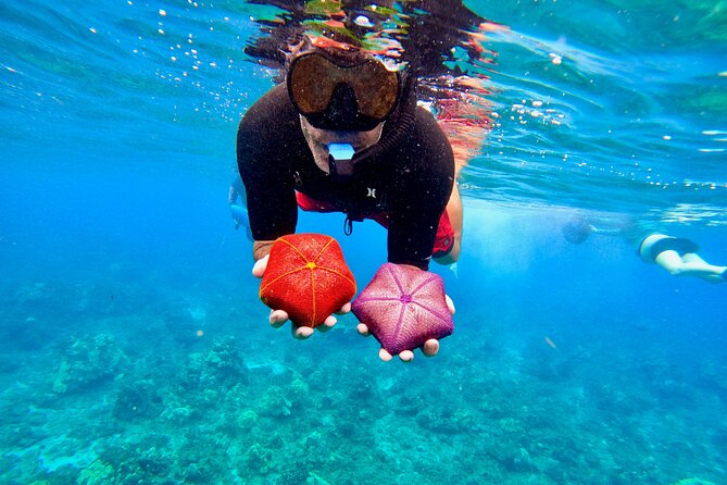 Snorkeling for Non-Swimmers with Photos Guided Tour Wailea Beach - Paddleboard Time for Fish and Sea Turtles