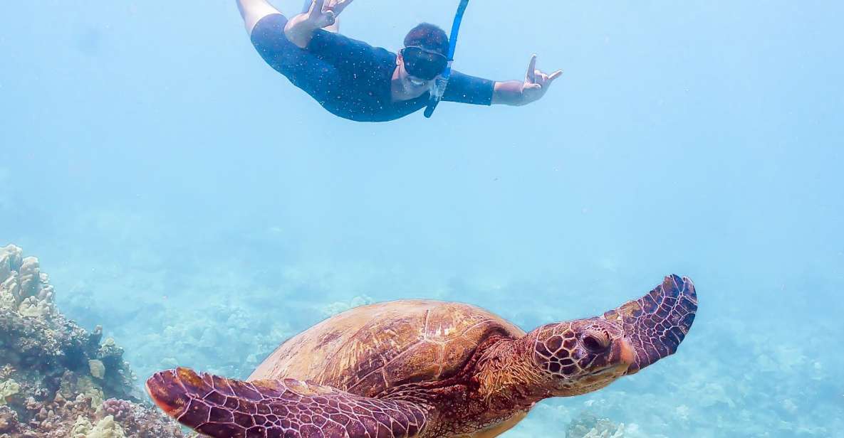 South Maui: Molokini Snorkeling Adventure - Key highlights worth planning around