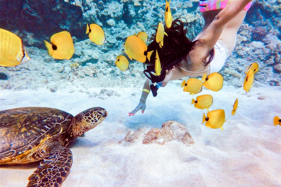 South Maui: Molokini Snorkeling Adventure - Breakfast on the channel: fuel up without thinking