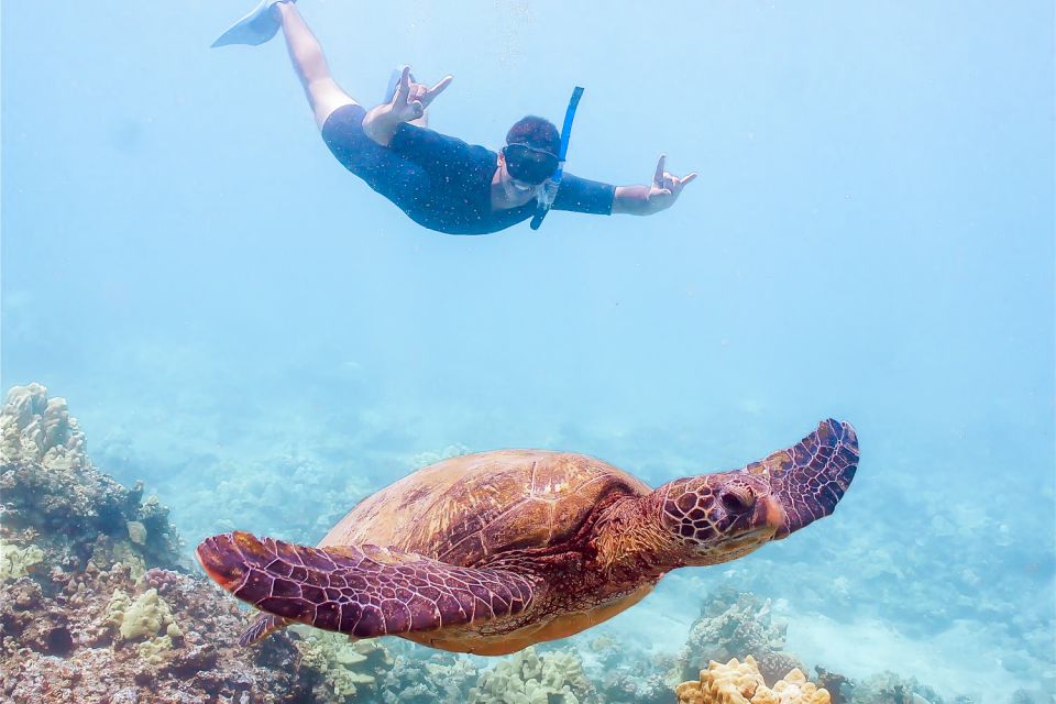 South Maui: Molokini Snorkeling Adventure - Getting on the Calypso: Ma‘alaea Harbor, Slip 76–78, and first-day logistics