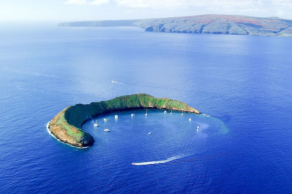 South Maui: Molokini & Turtle Town Snorkeling Tour with Meal - Key Things I’d Prioritize Here