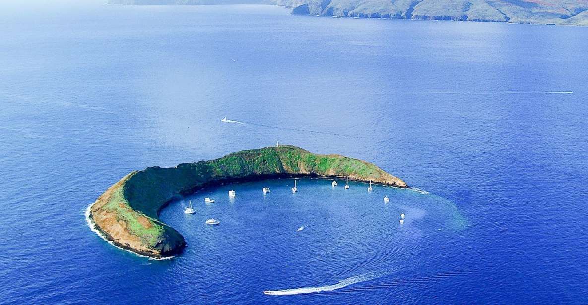 South Maui: Molokini & Turtle Town Snorkeling Tour with Meal - The Catamaran Cruise and Breakfast: Fuel for Clear-Water Snorkeling