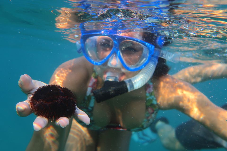 South Maui: Premium Turtle Town Kayak and Snorkel Tour - Whales in winter: a bonus, not the plan you build your whole day on