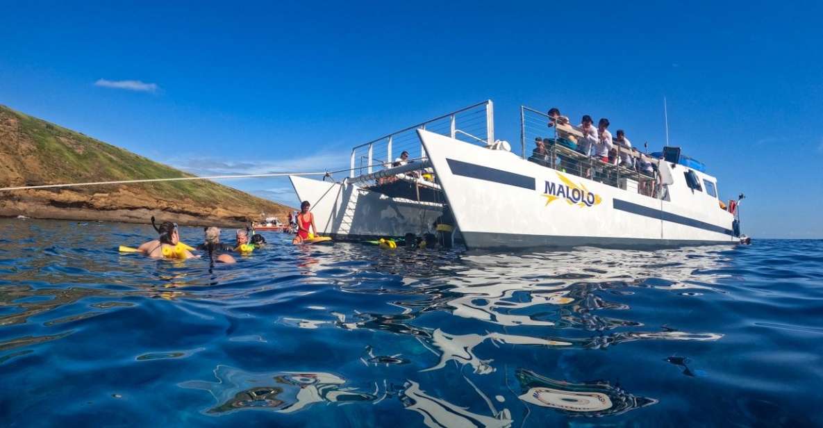 South Maui: Snorkel to Coral Gardens or Molokini Crater - Maalaea Bay: Scenic Cruise, Safety Briefing, and Whale Watching