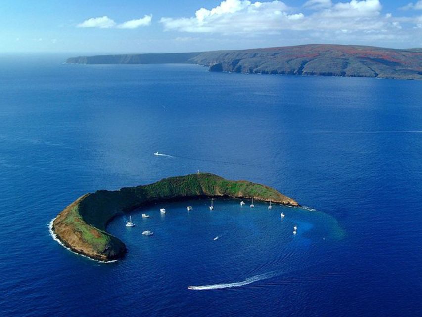 South Maui: Snorkel to Coral Gardens or Molokini Crater - Coral Gardens or Molokini Crater: The Captain’s Choice