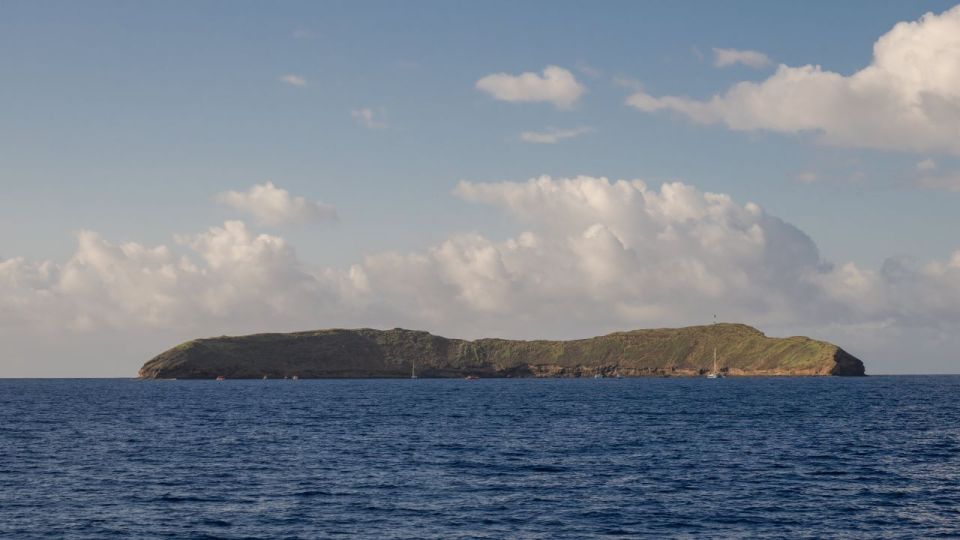South Maui: Snorkel to Coral Gardens or Molokini Crater - Your 1.5 Hours at the Reef: What the Snorkeling Feels Like