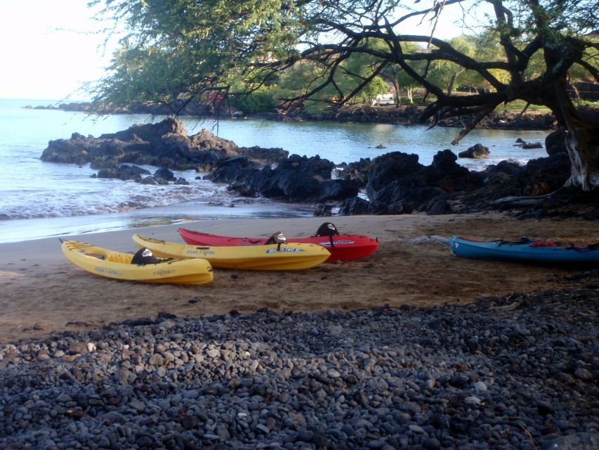 South Maui: Whale Watch Kayaking and Snorkel Tour in Kihei - What to Bring (and What the Guide Handles)