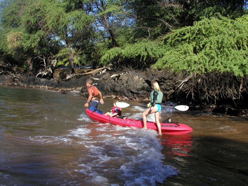 South Maui: Whale Watch Kayaking and Snorkel Tour in Kihei - Whale Watching From a Kayak: How the Ocean Time Works