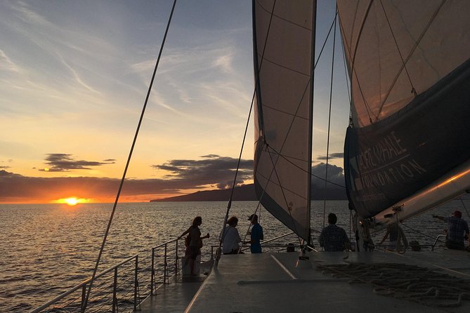 Sunset Sail from Ma'alaea Harbor - Pupus and unlimited non-alcoholic drinks: what’s included, and what to watch for