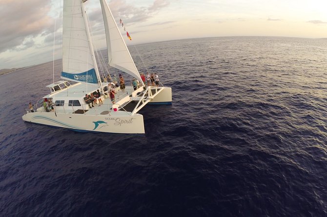 Sunset Sail from Ma'alaea Harbor - Wildlife chances in season: dolphins, humpback whales, and the right expectations