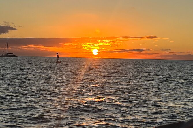 Sunset Sailing on a Floating Tiki Bar Charming Hawaiian Catamaran - Dolphins, Whales, and Wildlife: How to Get Your Chances Up