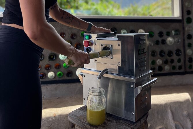 Taste of Hawaii: A Maui Farm Tour - Fruit tastings and Hawaiian crop stories (the part you’ll remember)
