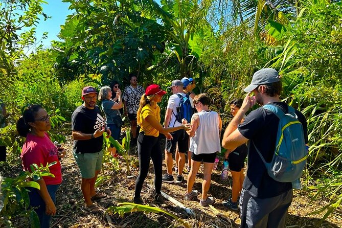 Taste of Hawaii: A Maui Farm Tour - The farm walk: sustainable and regenerative farming in everyday language