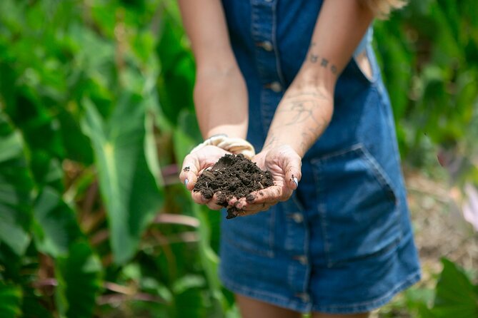 Taste of Hawaii: A Maui Farm Tour - Weather, rain, and what to do if the day isn’t perfect