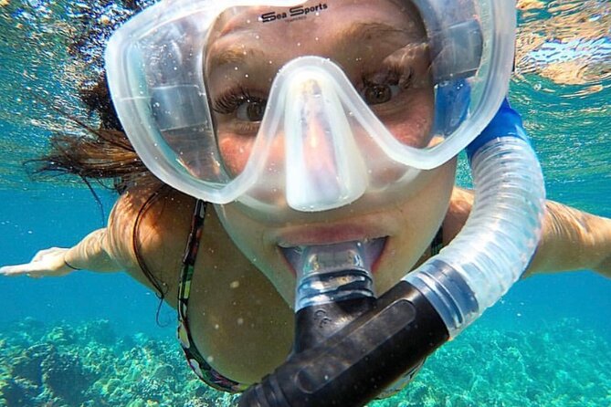 The Best 2.5 Hour Molokini Snorkel Tour & Whale Watch - What the $169.59 Price Really Covers (and What Makes It Feel Fair)
