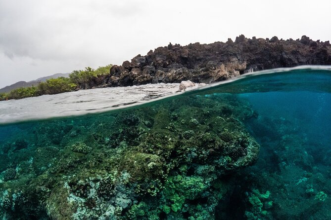 The Best 2.5 Hour Molokini Snorkel Tour & Whale Watch - Weather, Seas, and How to Choose the Right Day