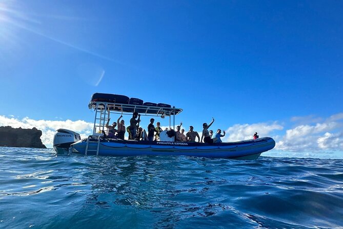 The Best 2.5 Hour Molokini Snorkel Tour & Whale Watch - Getting the Most Out of Your Hour in the Water