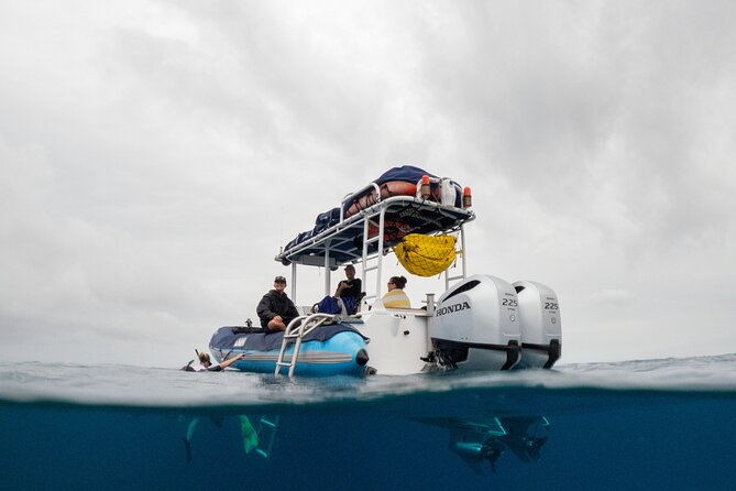 The Best 2 Hour Molokini Express Snorkeling - Key Highlights You’ll Care About