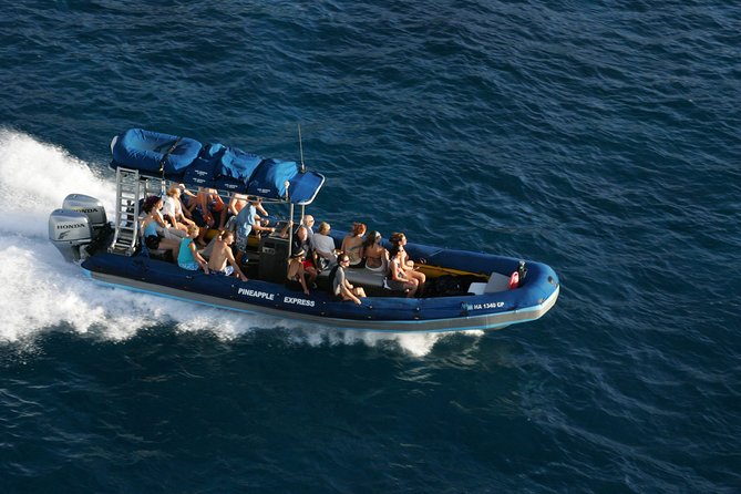 The Best 4 hour inclusive Kanaio Sea Caves and La Perouse Snorkel - The Kanaio Coast cruise: sea caves, lava arches, and compression caves