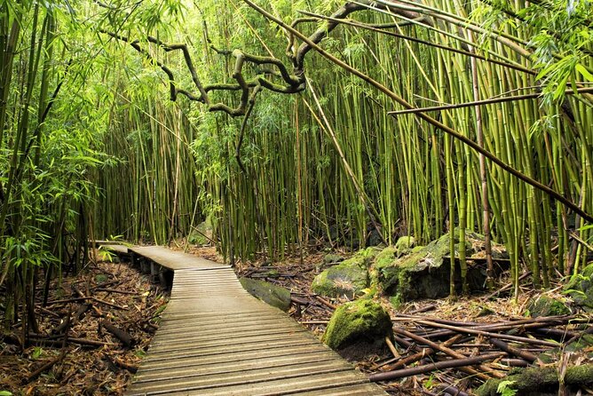 The best half day of your life! Luxury Road to Hana private tour - From Lowe’s Kahului to Hana: How the Morning Starts