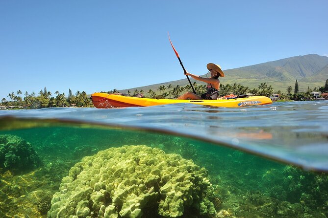 Turtle Reef Kayak Tour of Makena, Maui - Kayaks, snorkeling, and the turtle focus (this is the main show)