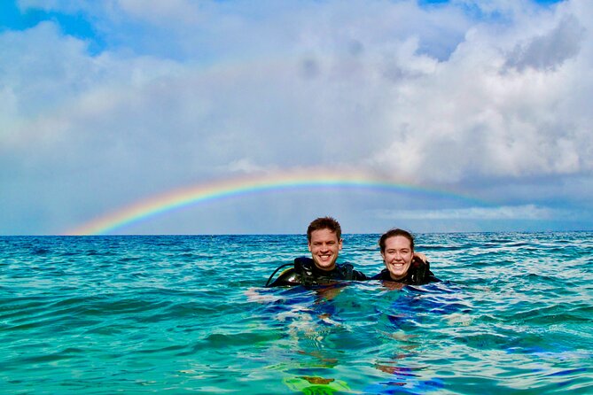 Turtle & Shark Scuba Dive in Lahaina: Certified - Why This Turtle & Shark Program Feels So Personal