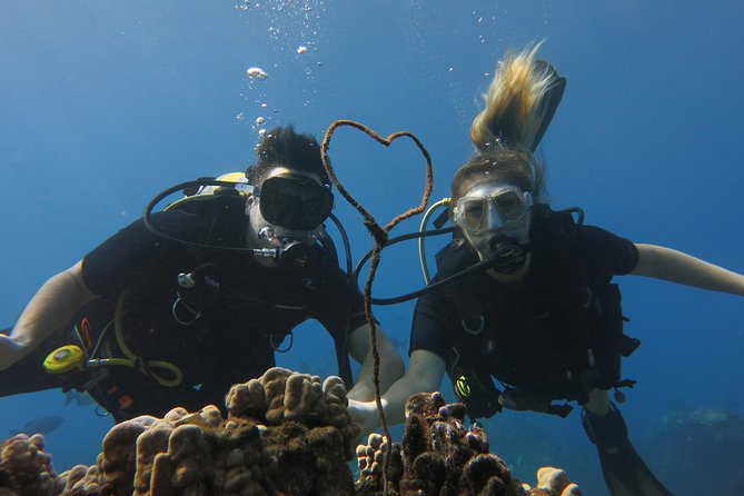 Turtle & Shark Scuba Dive in Lahaina: Certified - Meeting at Ala Moana and Front Street: The Part That Sets the Tone
