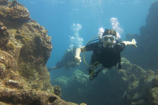 Turtle & Shark Scuba Dive in Lahaina: Certified - How the “Tailored” Part Works in Real Life