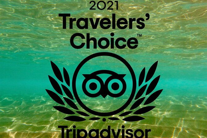 Turtle & Shark Scuba Dive in Lahaina: Certified - Gear, Snacks, and Water: Tiny Details That Matter
