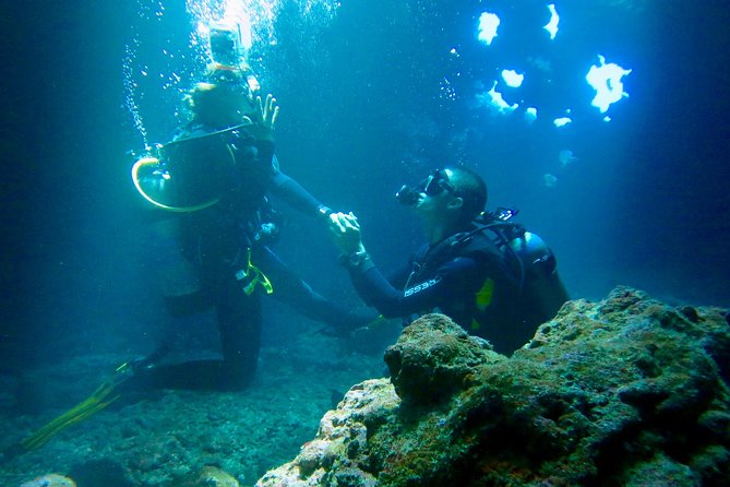 Turtle & Shark Scuba Dive in Lahaina: Certified - Shore Entry Rules You Need to Respect (Before You Even Think About Sharks)
