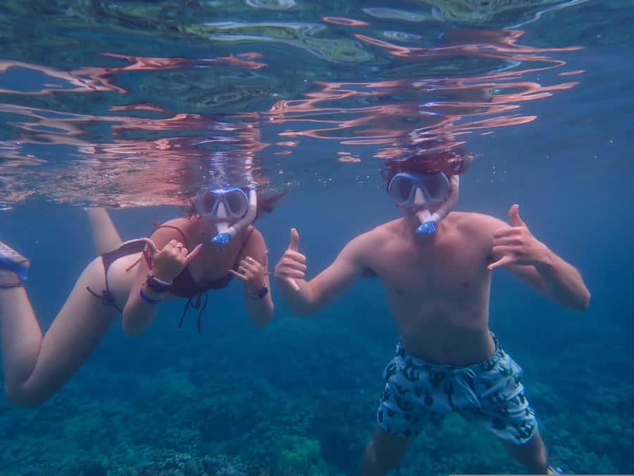 Turtle Town Clear Kayak & Snorkel Tour (8am-11am) - Clear kayaking tips that make snorkeling easier