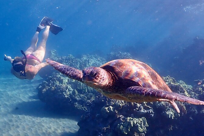 Turtle Town Snorkel with Free Photo and Video - Beginners - Safety Gear and Setup: Lifejackets, Wetsuit Tops, and Less Goggles Chaos