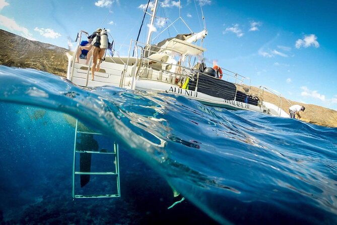 Turtles & Tacos Luxury Catamaran Snorkel - The Photo Team: Above- and Below-Water Pictures You Can Buy