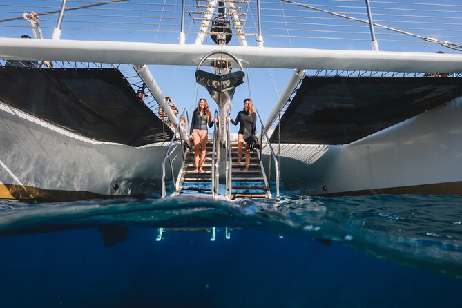 Turtles & Tacos Luxury Catamaran Snorkel - Getting There Without Stress: Maalaea Pier Reality Check