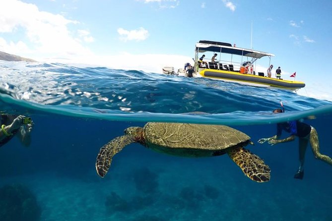 Ultimate 4 Hour Lanai Snorkel and Dolphin Encounter - Key things I’d mark on your mental map
