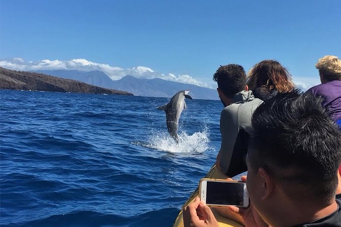 Ultimate 4 Hour Lanai Snorkel and Dolphin Encounter - The crew’s style: safety checks and fast, smart guidance